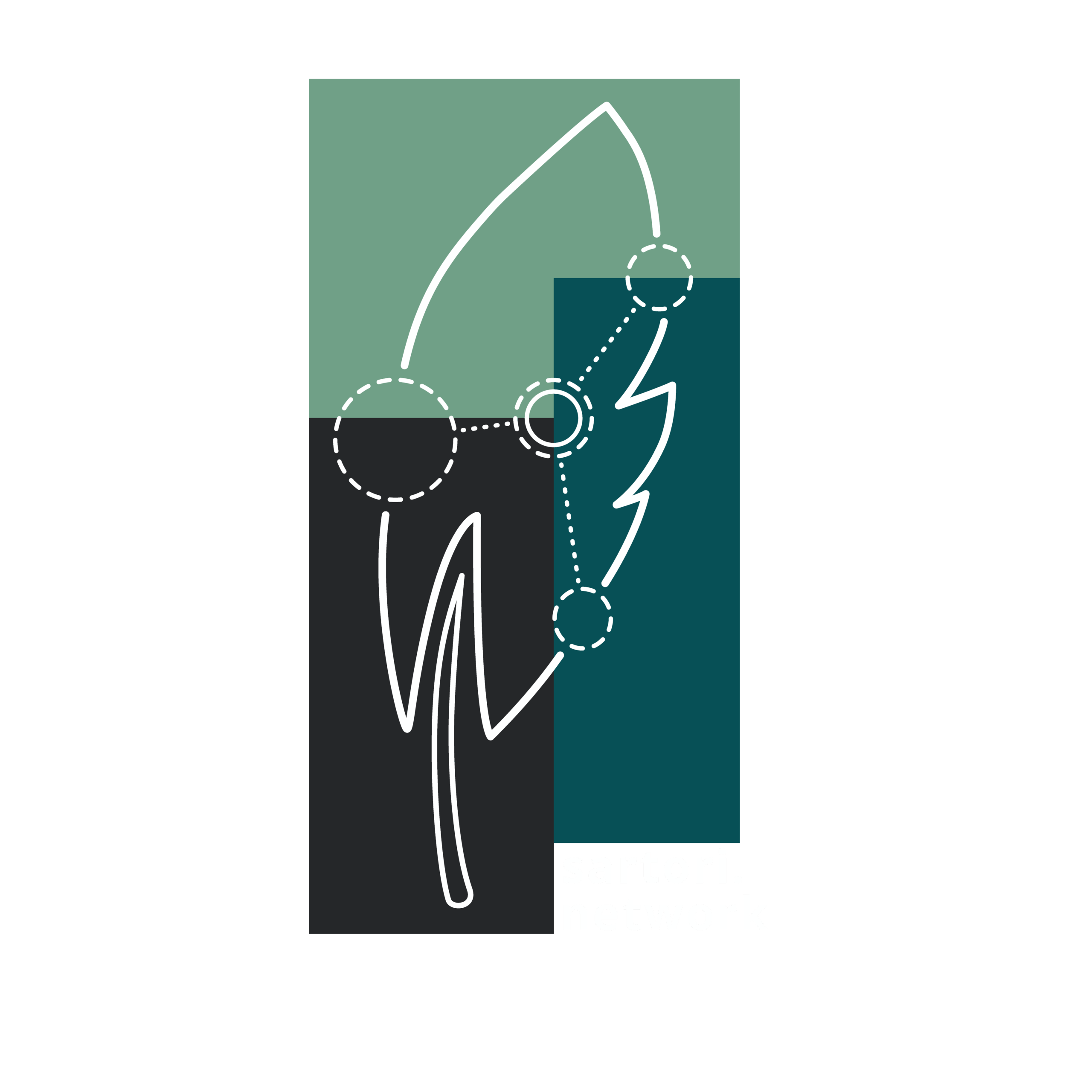 Sartori Network Logo